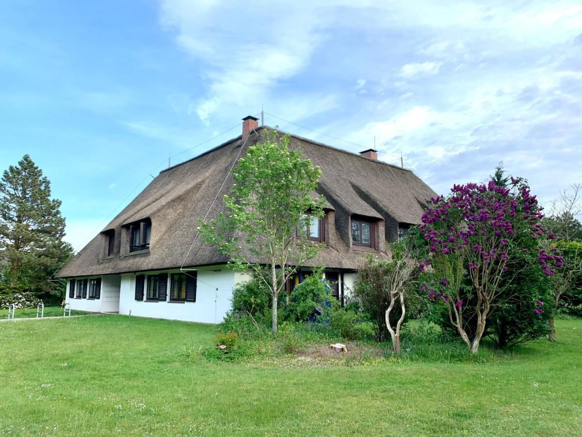 FeWo Strandschnecke Haus Hallig Oland Sankt Peter-Ording Exterior foto